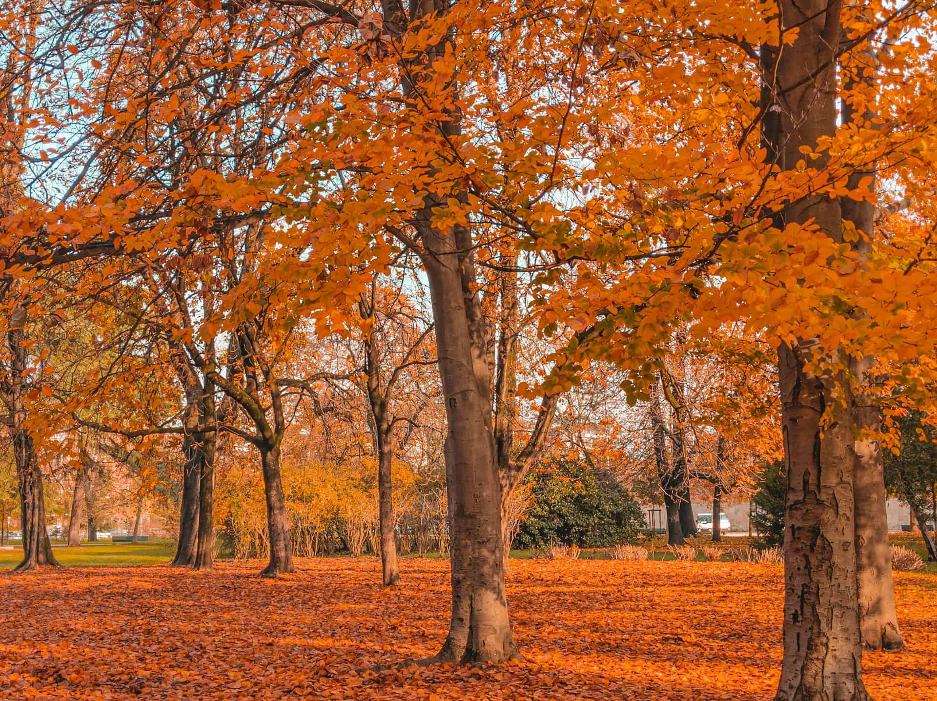 Parco Sempione 